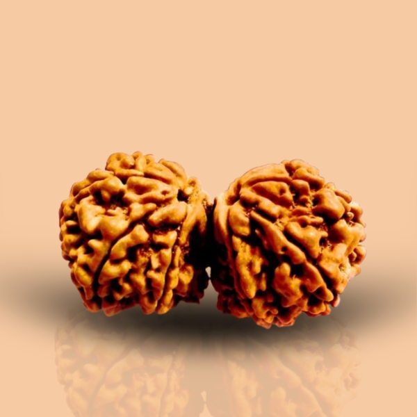 Natural 9 Mukhi Rudraksha (Nepali)